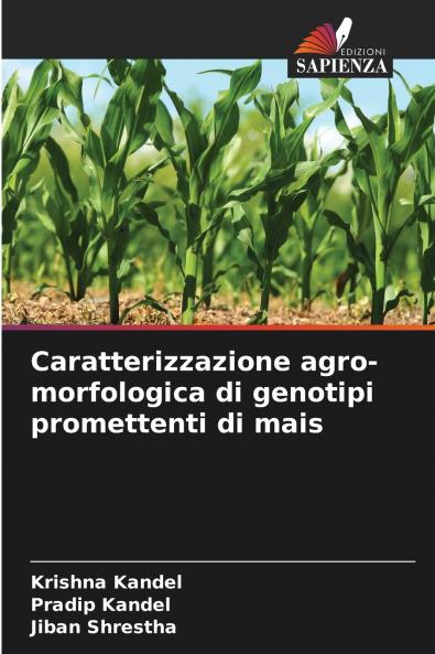 Caratterizzazione agro-morfologica di genotipi promettenti di mais