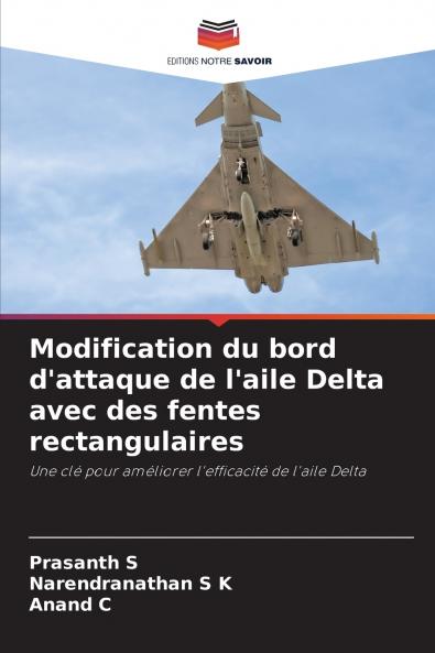 Modification du bord d'attaque de l'aile Delta avec des fentes rectangulaires