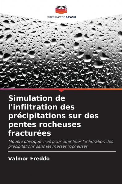 Simulation de l'infiltration des précipitations sur des pentes rocheuses fracturées