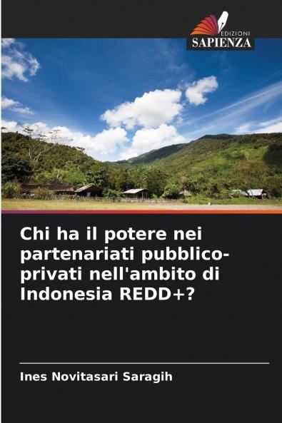 Chi ha il potere nei partenariati pubblico-privati nell'ambito di Indonesia REDD+?