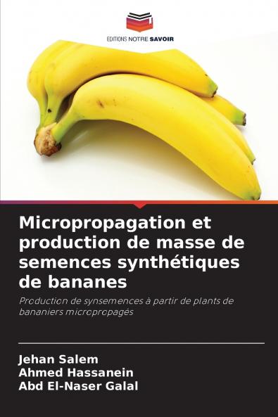 Micropropagation et production de masse de semences synthétiques de bananes