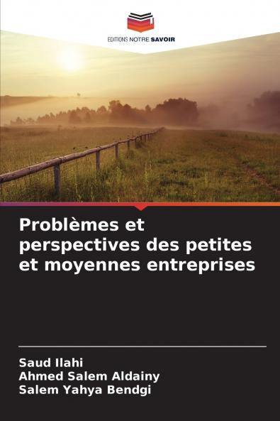 Problèmes et perspectives des petites et moyennes entreprises