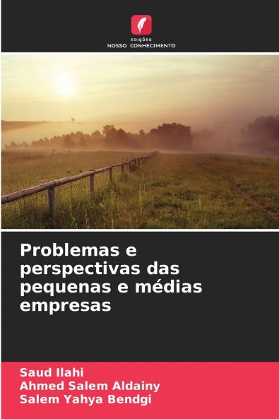 Problemas e perspectivas das pequenas e médias empresas
