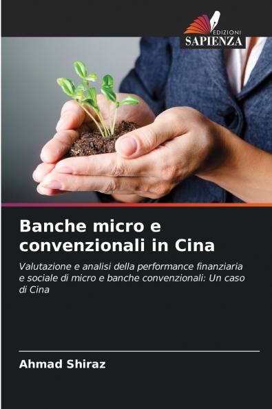 Banche micro e convenzionali in Cina