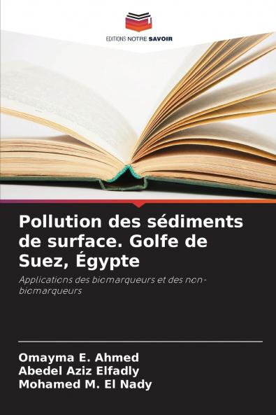 Pollution des sédiments de surface. Golfe de Suez Égypte