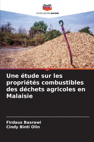 Une étude sur les propriétés combustibles des déchets agricoles en Malaisie