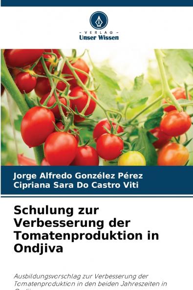 Schulung zur Verbesserung der Tomatenproduktion in Ondjiva