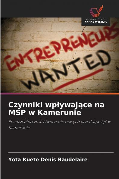 Czynniki wpływające na MŚP w Kamerunie