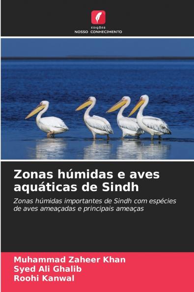 Zonas húmidas e aves aquáticas de Sindh