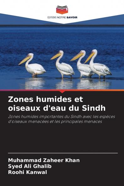 Zones humides et oiseaux d'eau du Sindh
