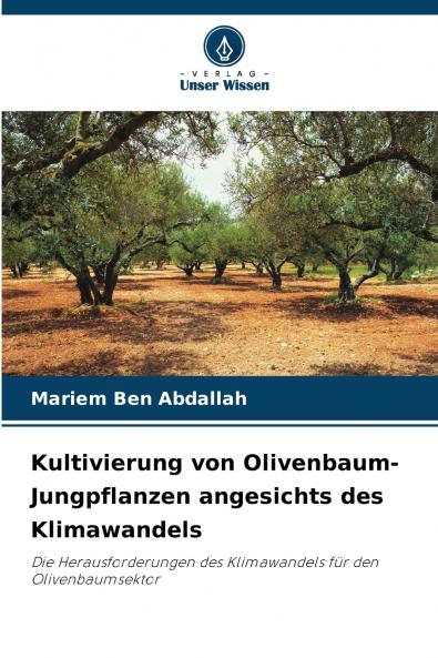 Kultivierung von Olivenbaum-Jungpflanzen angesichts des Klimawandels