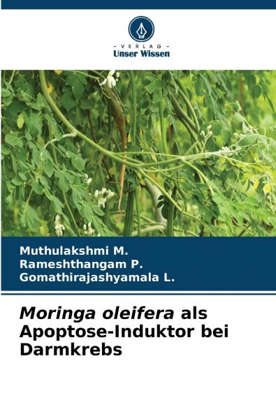 Moringa oleifera als Apoptose-Induktor bei Darmkrebs