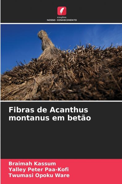 Fibras de Acanthus montanus em betão