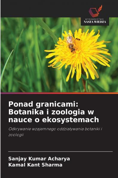 Ponad granicami