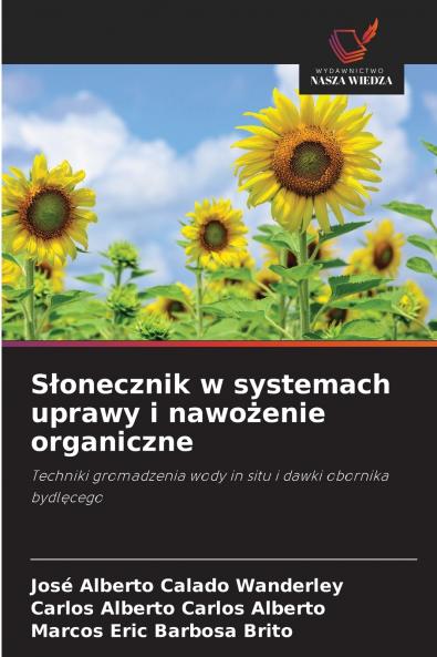 Słonecznik w systemach uprawy i nawożenie organiczne