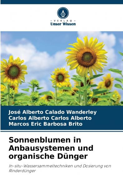 Sonnenblumen in Anbausystemen und organische Dünger