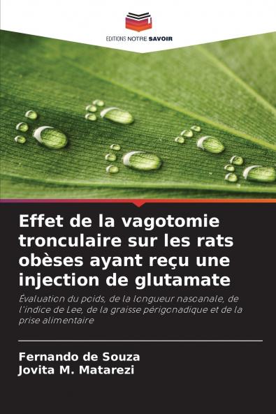 Effet de la vagotomie tronculaire sur les rats obèses ayant reçu une injection de glutamate