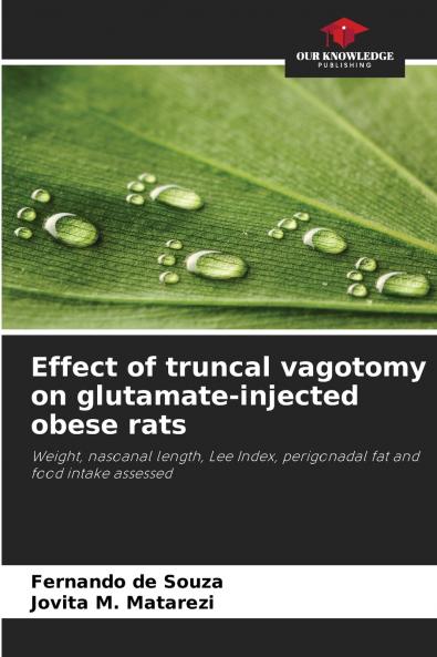 Effect of truncal vagotomy on glutamate-injected obese rats