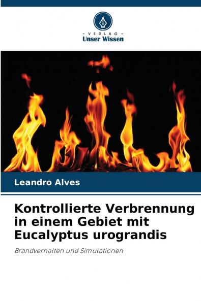 Kontrollierte Verbrennung in einem Gebiet mit Eucalyptus urograndis