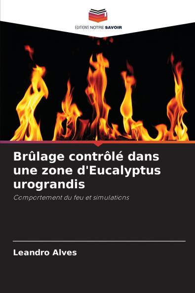 Brûlage contrôlé dans une zone d'Eucalyptus urograndis