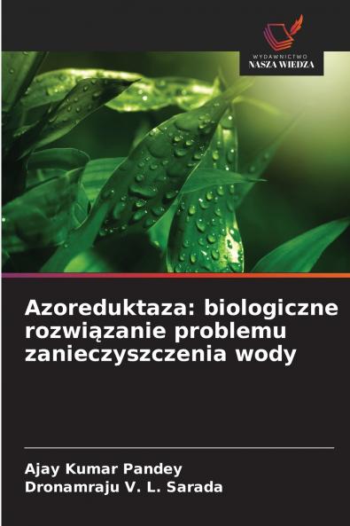 Azoreduktaza