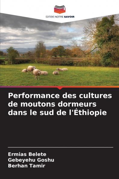 Performance des cultures de moutons dormeurs dans le sud de l'Éthiopie