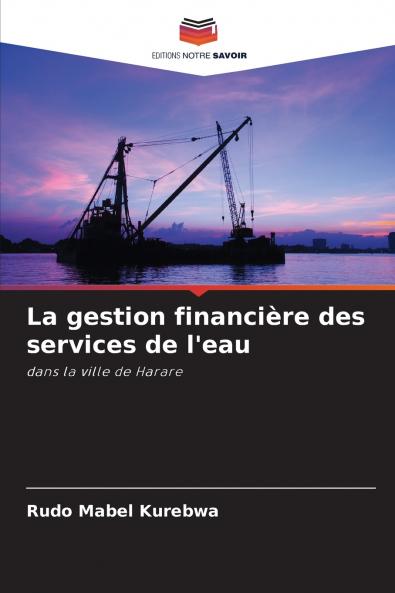 La gestion financière des services de l'eau