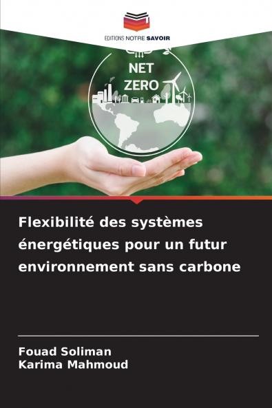 Flexibilité des systèmes énergétiques pour un futur environnement sans carbone