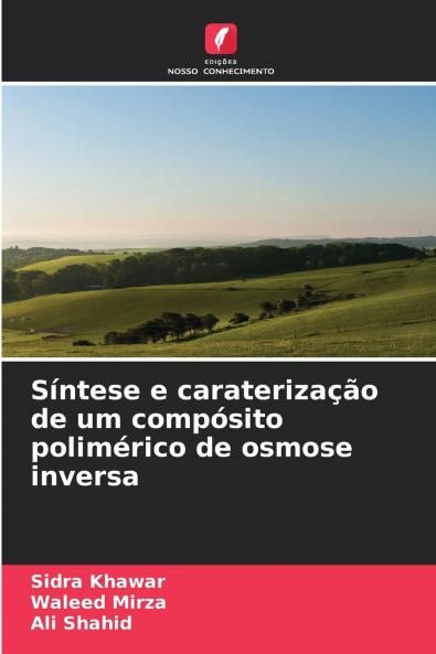 Síntese e caraterização de um compósito polimérico de osmose inversa
