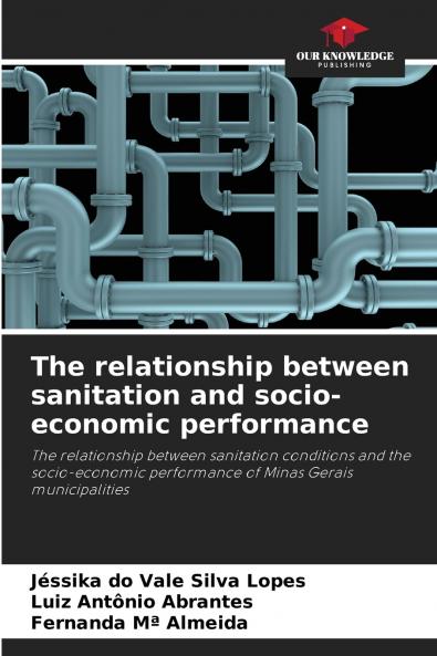 The relationship between sanitation and socio-economic performance