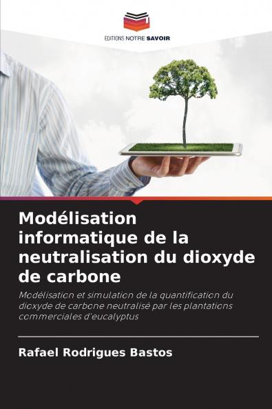 Modélisation informatique de la neutralisation du dioxyde de carbone