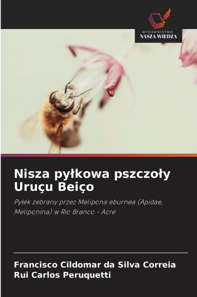 Nisza pyłkowa pszczoły Uruçu Beiço