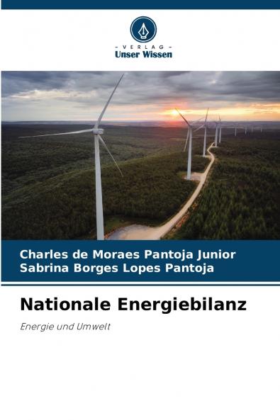 Nationale Energiebilanz