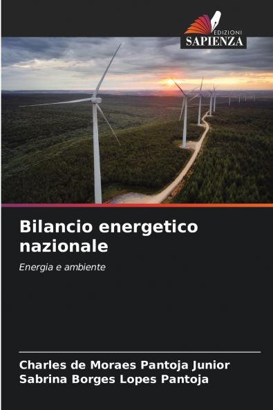 Bilancio energetico nazionale
