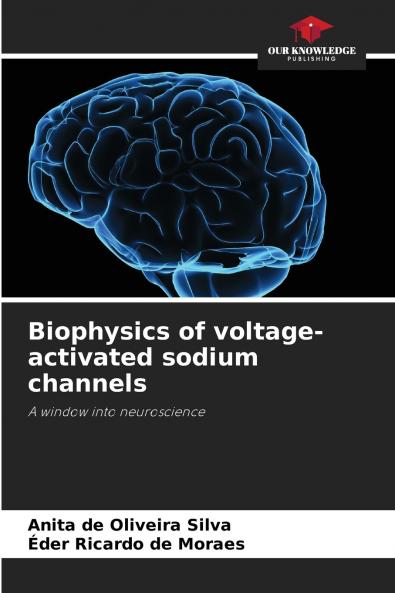 Biophysics of voltage-activated sodium channels
