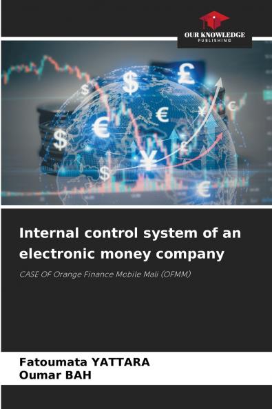 Internal control system of an electronic money company
