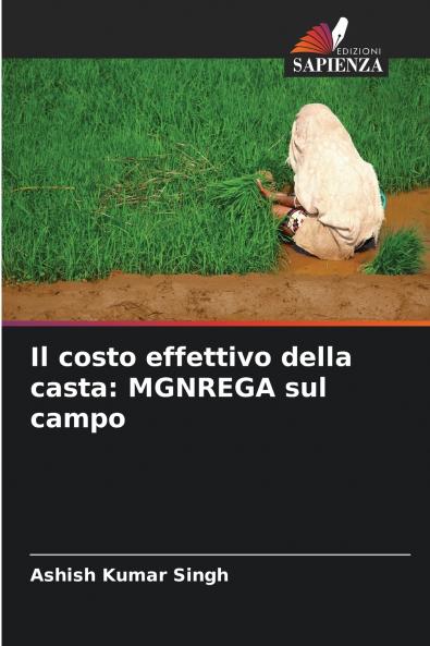 Il costo effettivo della casta