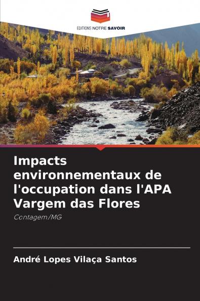 Impacts environnementaux de l'occupation dans l'APA Vargem das Flores