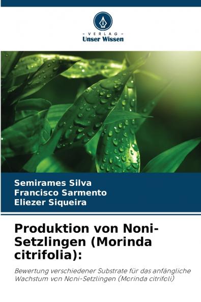Produktion von Noni-Setzlingen (Morinda citrifolia)