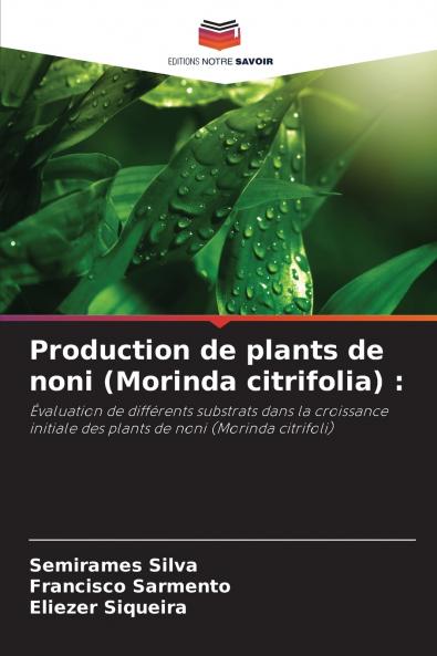 Production de plants de noni (Morinda citrifolia)
