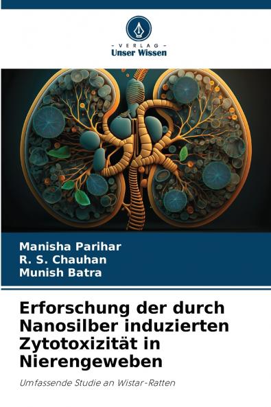 Erforschung der durch Nanosilber induzierten Zytotoxizität in Nierengeweben