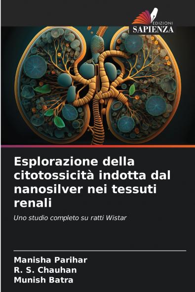 Esplorazione della citotossicità indotta dal nanosilver nei tessuti renali