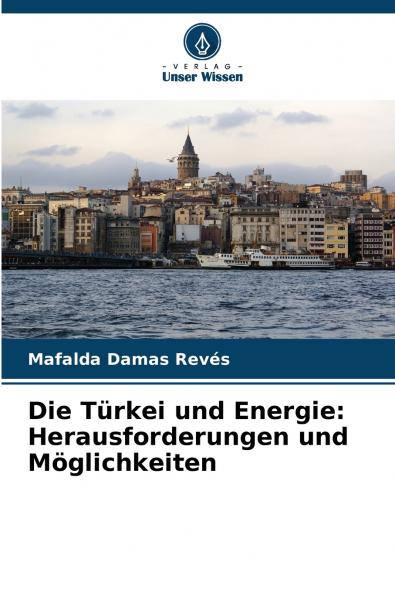 Die Türkei und Energie