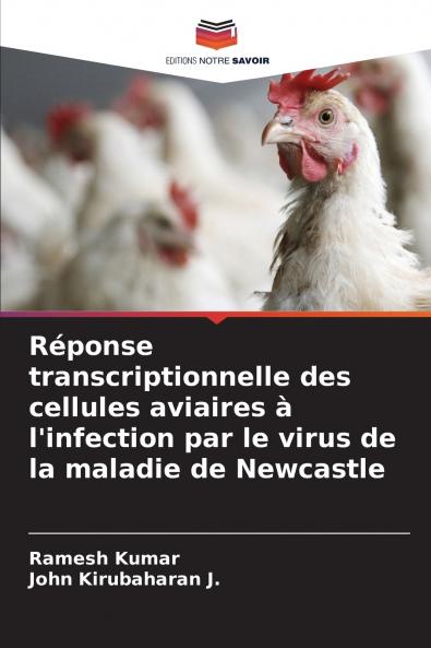 Réponse transcriptionnelle des cellules aviaires à l'infection par le virus de la maladie de Newcastle