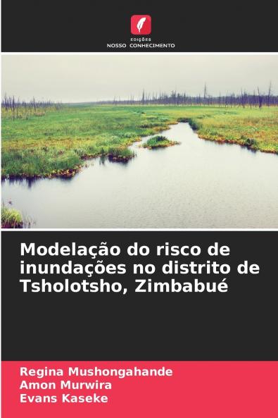 Modelação do risco de inundações no distrito de Tsholotsho Zimbabué