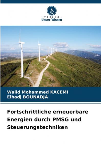 Fortschrittliche erneuerbare Energien durch PMSG und Steuerungstechniken