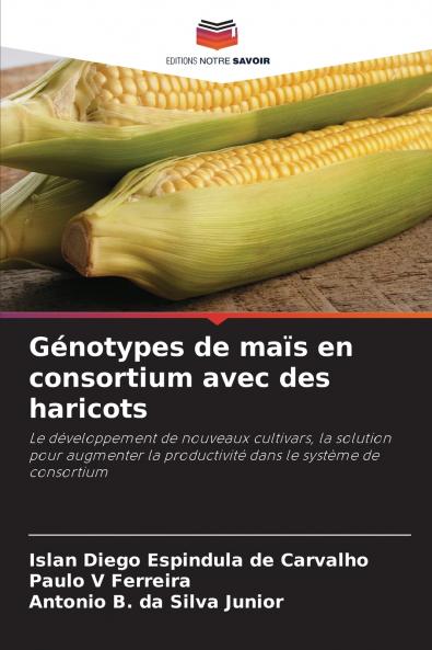 Génotypes de maïs en consortium avec des haricots