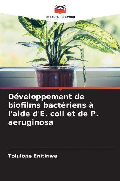 Développement de biofilms bactériens à l'aide d'E. coli et de P. aeruginosa