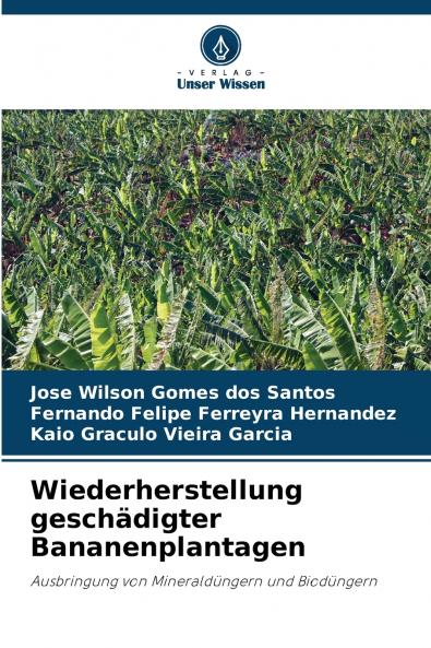 Wiederherstellung geschädigter Bananenplantagen
