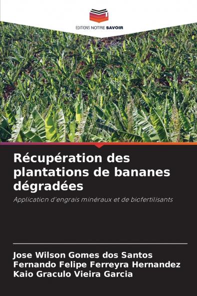 Récupération des plantations de bananes dégradées